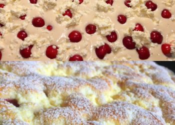 Omas Quark Kirsch Kuchen, die ganze Familie ist verrückt danach!