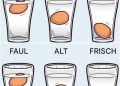 Präziser geht’s nicht Die genaueste Art, Hühnereier auf Frische zu prüfen
