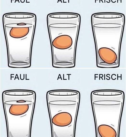 Präziser geht’s nicht Die genaueste Art, Hühnereier auf Frische zu prüfen