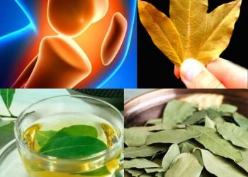 Bay Leaves: A Natural Remedy for Joint Pain