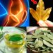 Bay Leaves: A Natural Remedy for Joint Pain