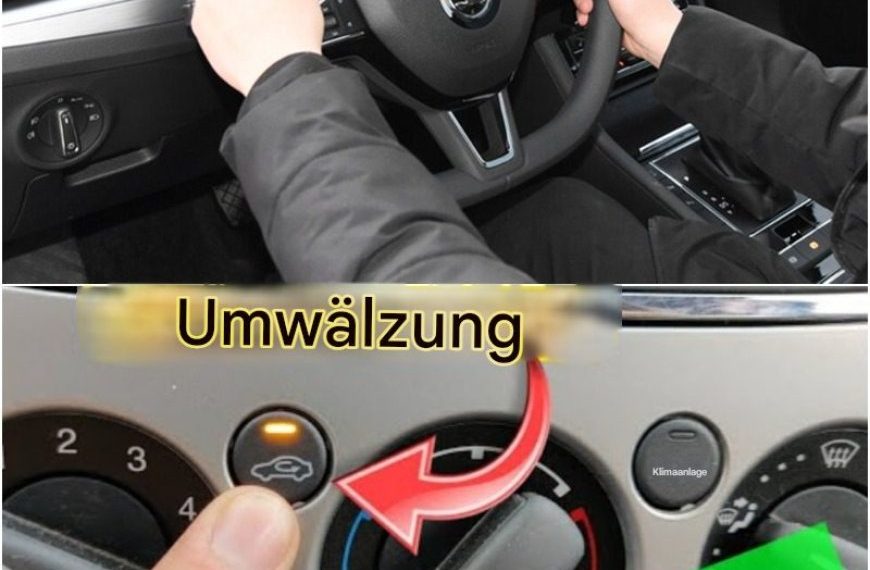 Ein sehr notwendiger Knopf im Auto, an den sich viele Fahrer nicht erinnern, den sie nicht kennen und den sie nicht benutzen