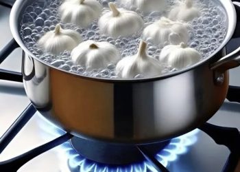 Meine Großmutter hat immer die Gewohnheit gehabt, Knoblauch zu kochen, und als ich herausfand, warum, war ich überrascht