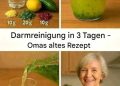 Reinigen Sie Ihren Darm in 3 Tagen. Großmutters altes Rezept. Der ganze Schmutz wird aus dem Körper herauskommen