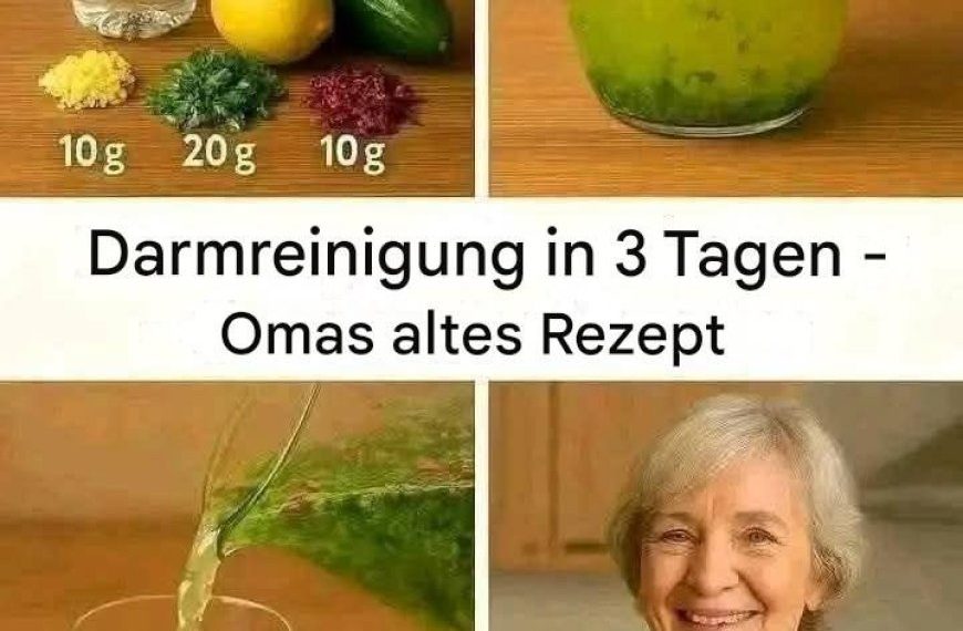 Reinigen Sie Ihren Darm in 3 Tagen. Großmutters altes Rezept. Der ganze Schmutz wird aus dem Körper herauskommen