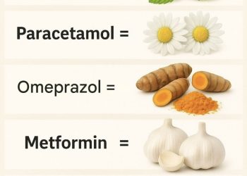 Apotheke der Natur: 7 pflanzliche Alternativen zu gängigen Medikamenten