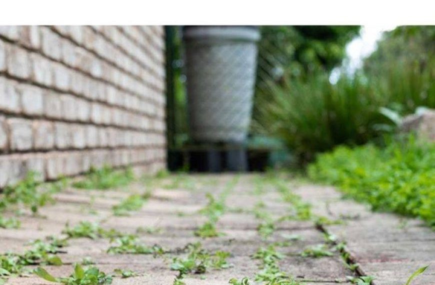 Davon hatte ich keine Ahnung! Gut zu wissen