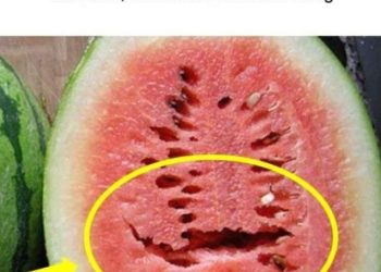 Wenn Sie eine Wassermelone öffnen und das sehen, werfen Sie sie weg!