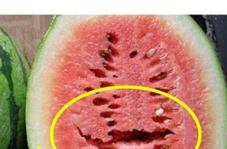 Wenn Sie eine Wassermelone öffnen und das sehen, werfen Sie sie weg!