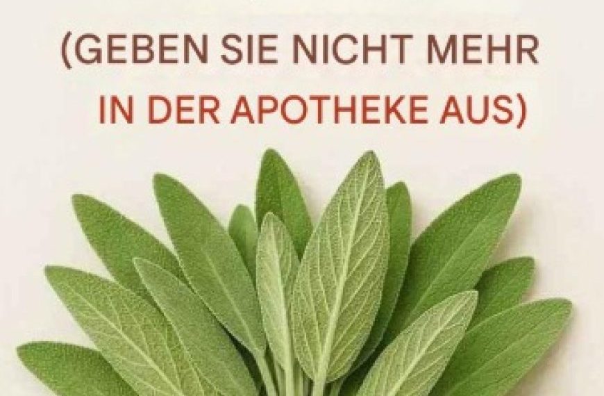 Ein natürliches Heilmittel für die Gesundheit des Gehirns, Entzündungen und Gelenkschmerzen