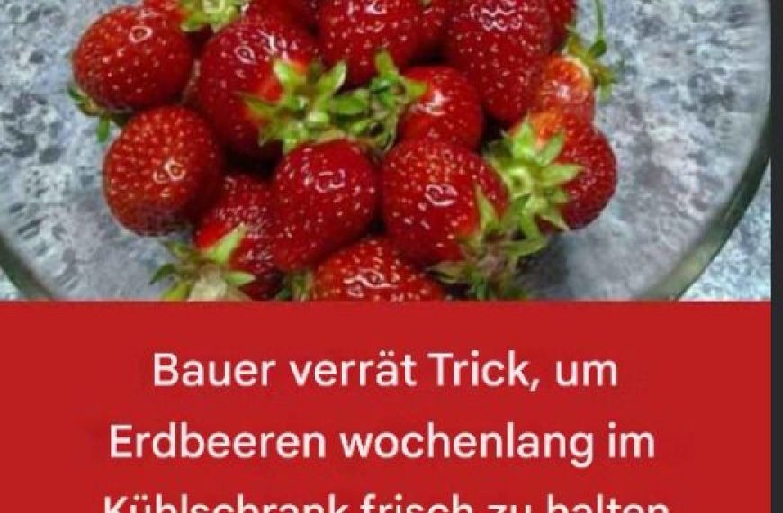 Der ultimative Leitfaden, um Erdbeeren tagelang frisch zu halten