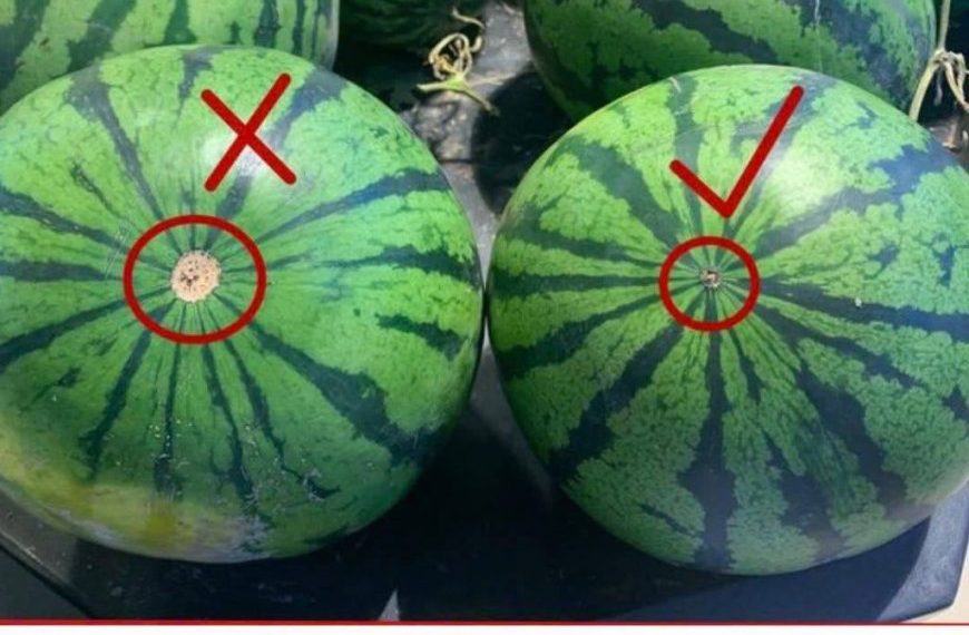 Der Trick bei der Auswahl einer reifen Wassermelone mit süßem, rotem Fruchtfleisch