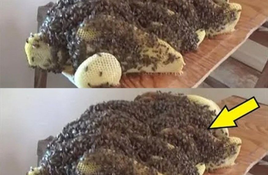 Eine Überraschung unterm Bett: Ungebetene Gäste, die man dort lieber nicht treffen möchte