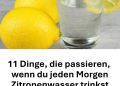 11 Gründe, jeden Morgen Zitronenwasser zu trinken
