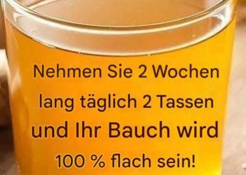 Das tägliche Getränk eines 95-jährigen chinesischen Arztes für eine gesunde Leber und einen gesunden Darm