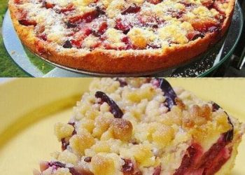 Zwetschgenkuchen mit Zimtstreuseln in 5 Minuten bereit für den Ofen