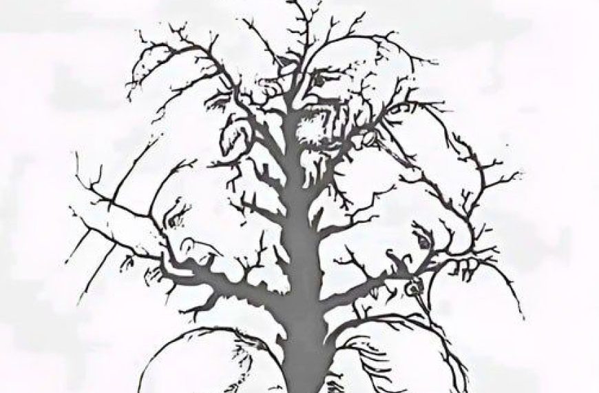 gehören Sie zu den Menschen mit dem besten Sehvermögen