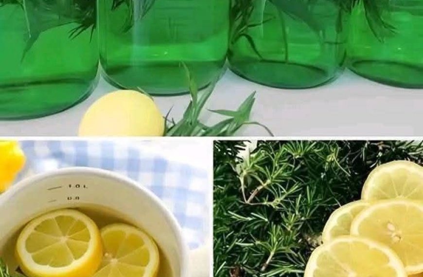 Das erfrischende Rosmarin-Zitronen-Getränk: Ein Genuss für Körper und Geist