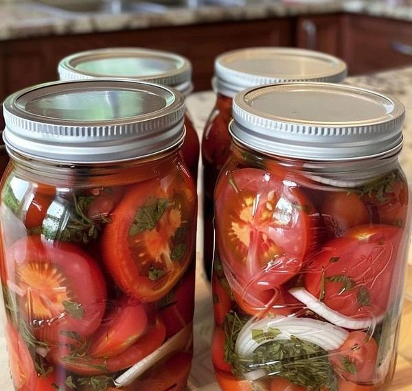 Leckere Tomaten auch mitten im Winter dank dieser alten Methode