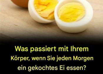 Wie viele Eier sollten Sie pro Woche essen? Ein Ernährungsratgeber (Aktualisiert 2025)