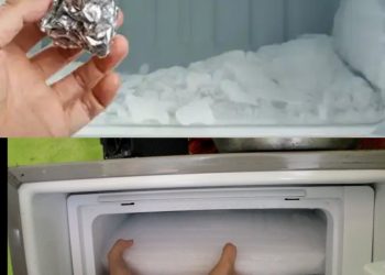 Mit einem einfachen Trick dem Frost ein Ende setzen