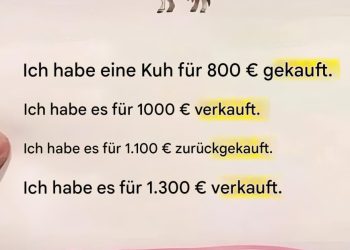 Mathematisches Kuhrätsel: Kannst du es lösen?