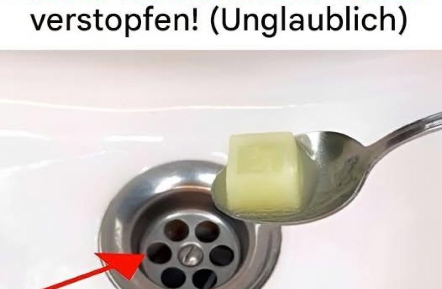 Die natürliche Lösung für einwandfreie Rohre