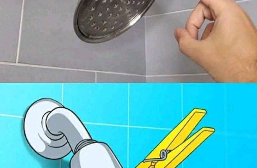Warum eine Wäscheklammer über die Dusche hängen: Wer es einmal weiß, macht es immer