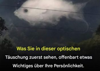 Was Sie zuerst sehen, verrät etwas Wichtiges über Ihre Persönlichkeit.