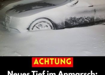 schlagen Alarm, Experten warnen eindringlich – die Lage könnte schnell