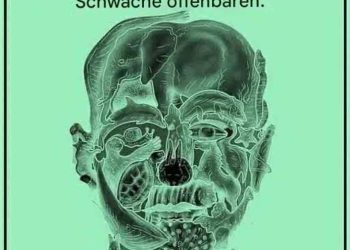 Welches Tier Sie in diesem Bild zuerst sehen, könnte etwas über Ihre Persönlichkeit verraten