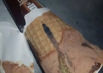 Meine Tochter öffnete eine Tüte Schokoladeneis und fand etwas Seltsames darin