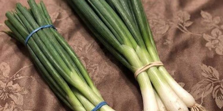 Frühlingszwiebeln, Lauchzwiebeln und Schnittlauch: Ein einfacher Leitfaden