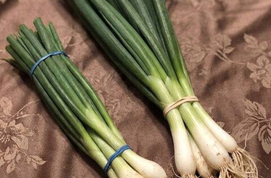 Frühlingszwiebeln, Lauchzwiebeln und Schnittlauch: Ein einfacher Leitfaden