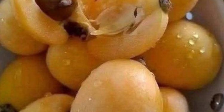 Dieses einfache, selbstgemachte Marmeladenrezept macht Alltagsfrüchte zu einem ewigen Favoriten.