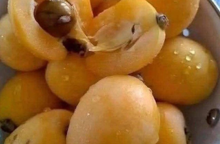 Dieses einfache, selbstgemachte Marmeladenrezept macht Alltagsfrüchte zu einem ewigen Favoriten.