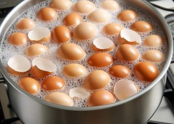 Wirf sie nicht mehr weg. Koch die Eierschalen und verabschiede dich von… Mehr ansehen