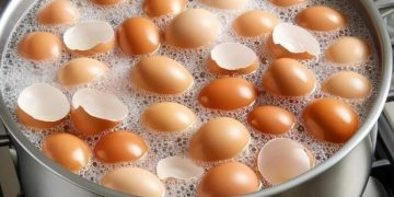 Wirf sie nicht mehr weg. Koch die Eierschalen und verabschiede dich von… Mehr ansehen