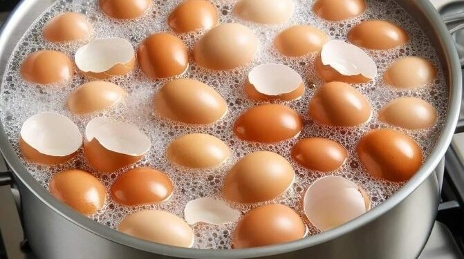 Wirf sie nicht mehr weg. Koch die Eierschalen und verabschiede dich von… Mehr ansehen